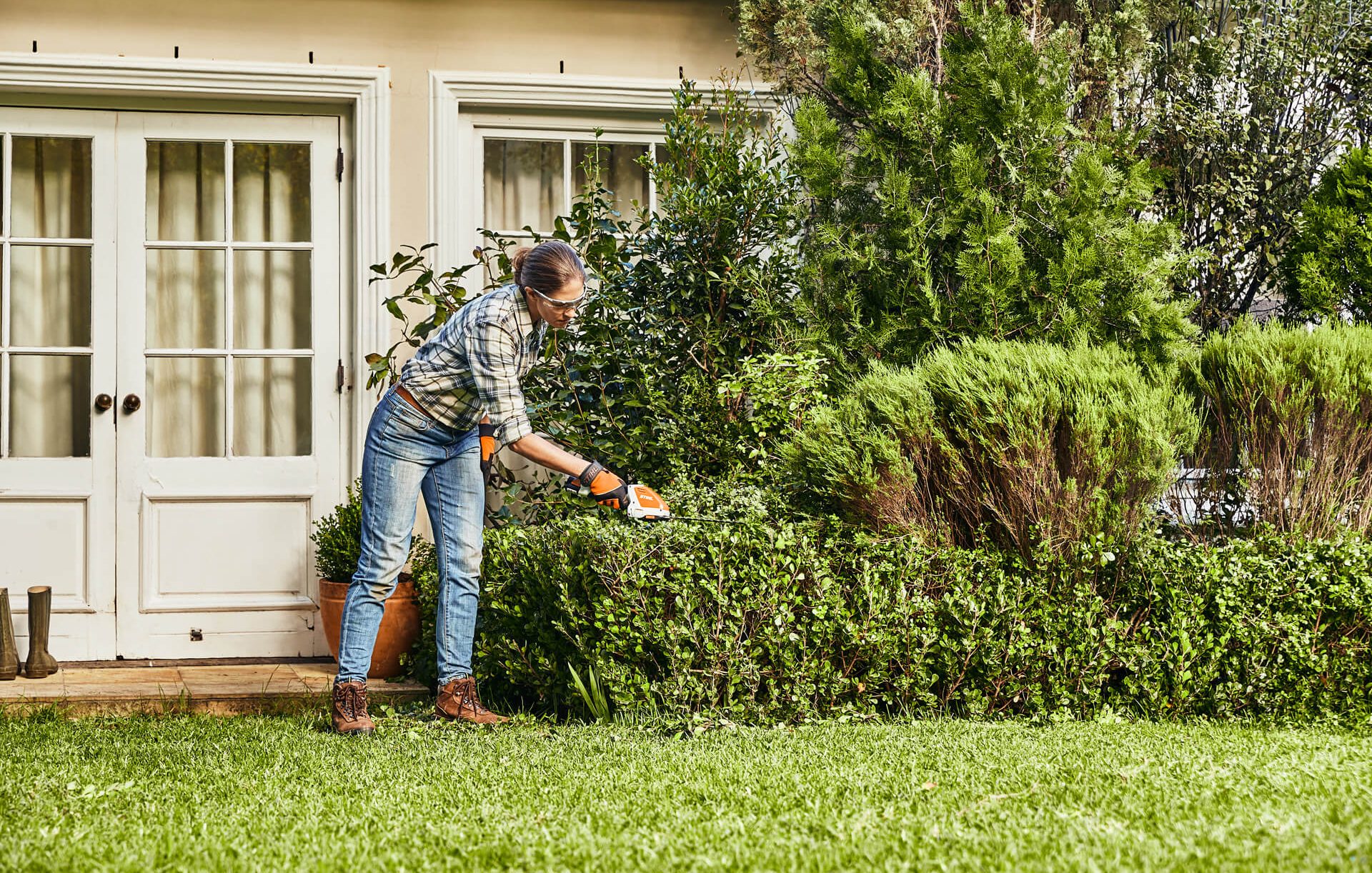Lawn & hedge maintenance