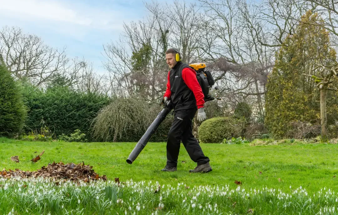 Seasonal clearance & tidy ups