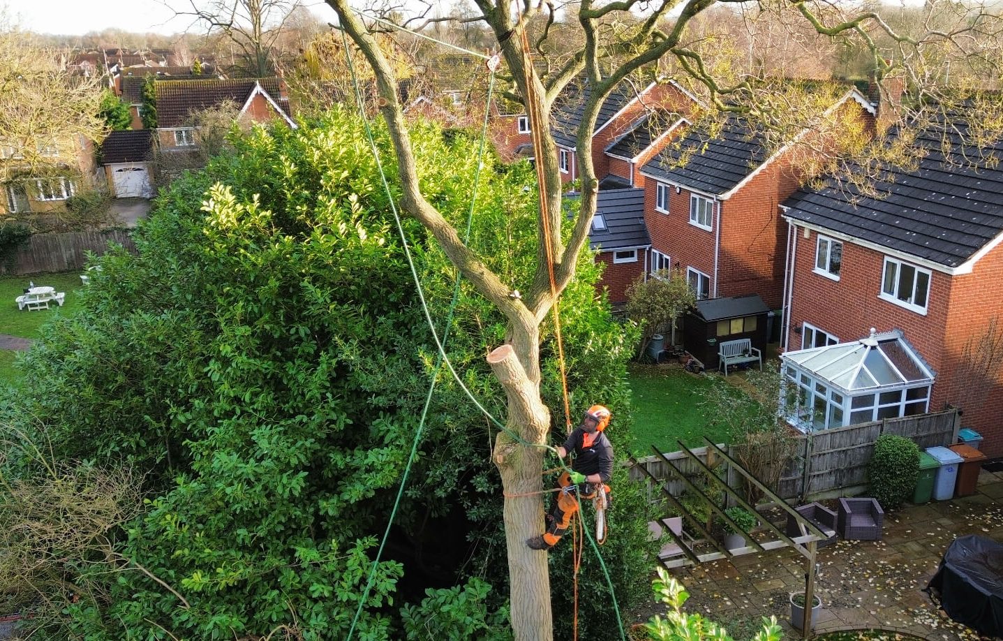 tree surgery services