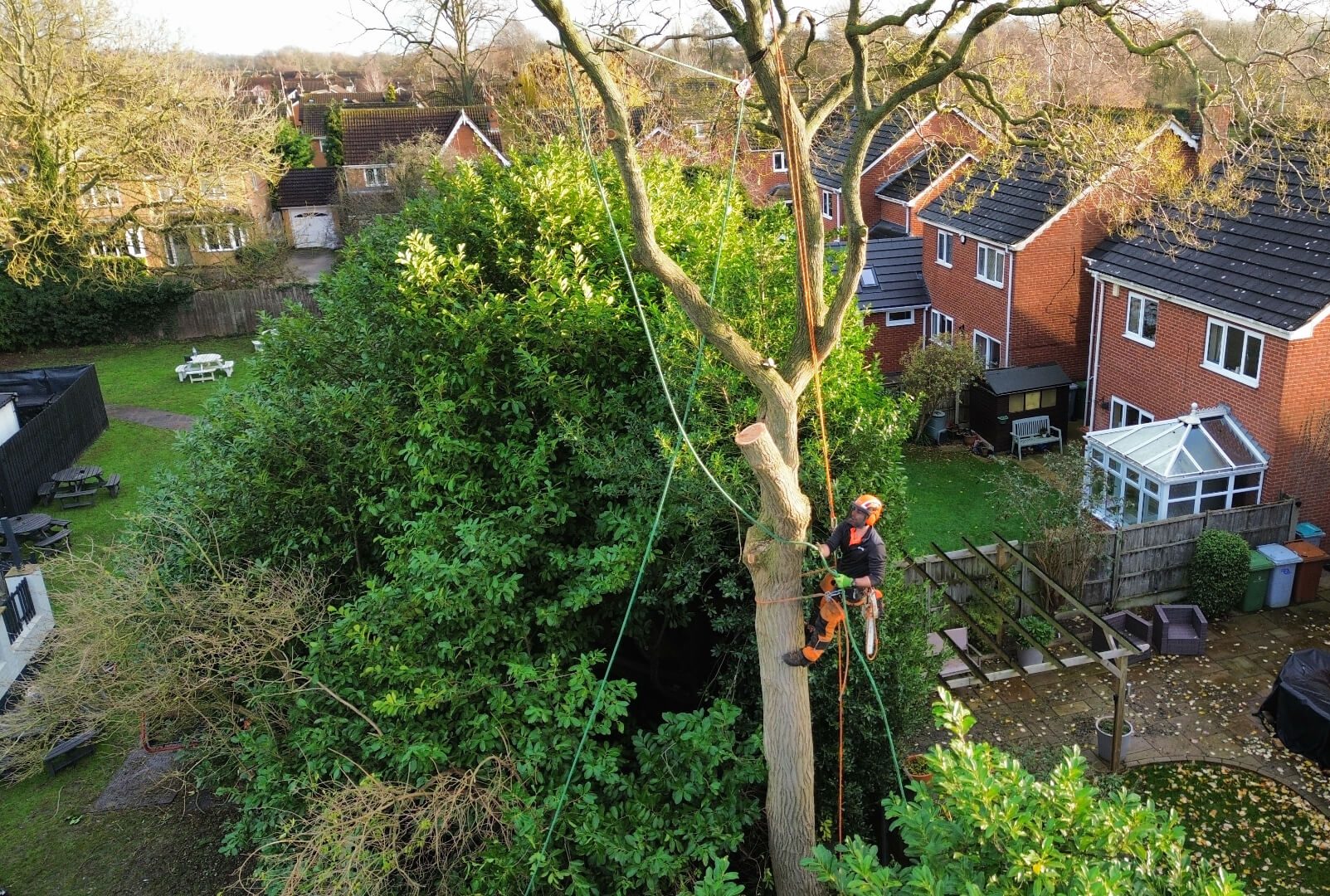 tree surgery services